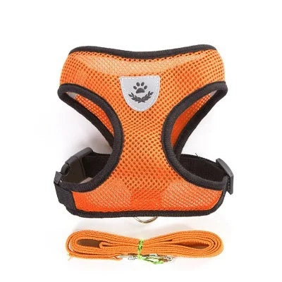 Comfortable cat harness - My Store