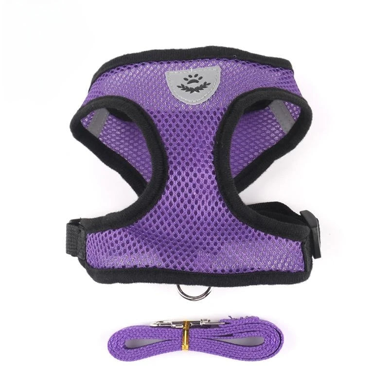 Comfortable cat harness - My Store