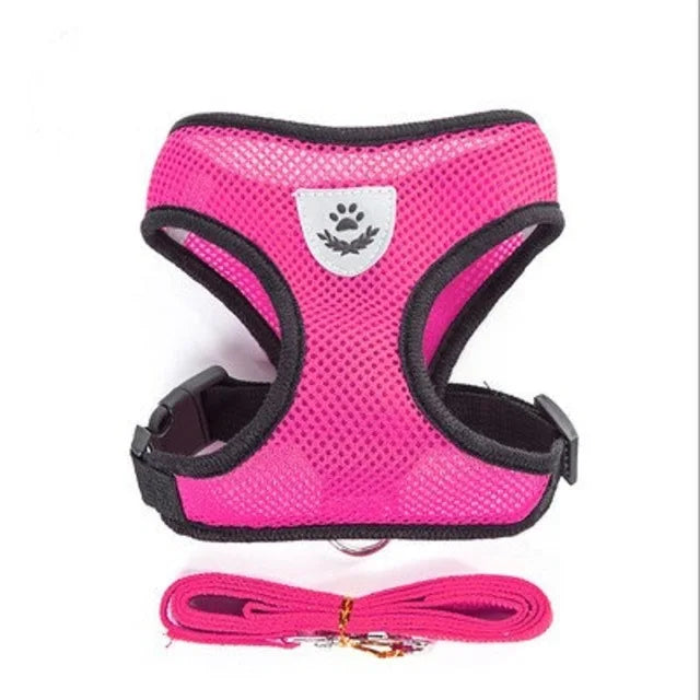 Comfortable cat harness - My Store