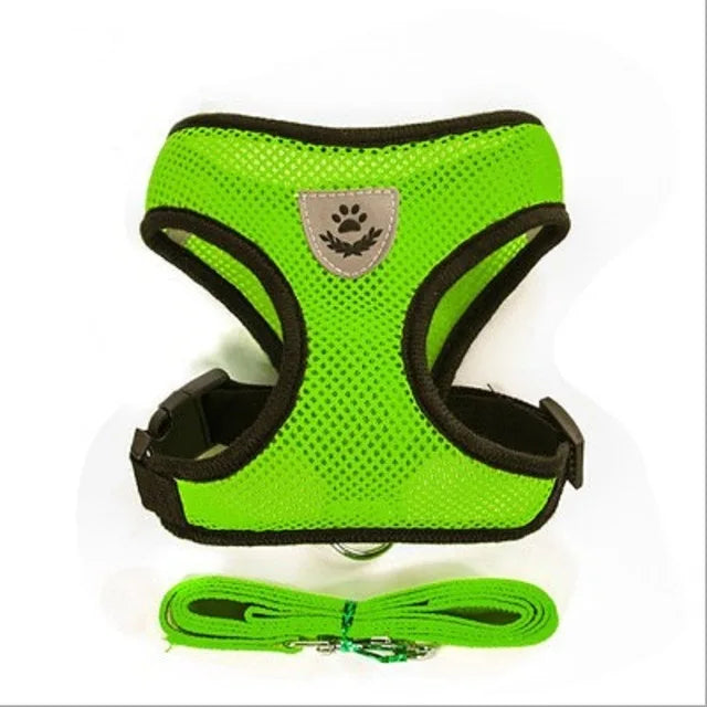 Comfortable cat harness - My Store