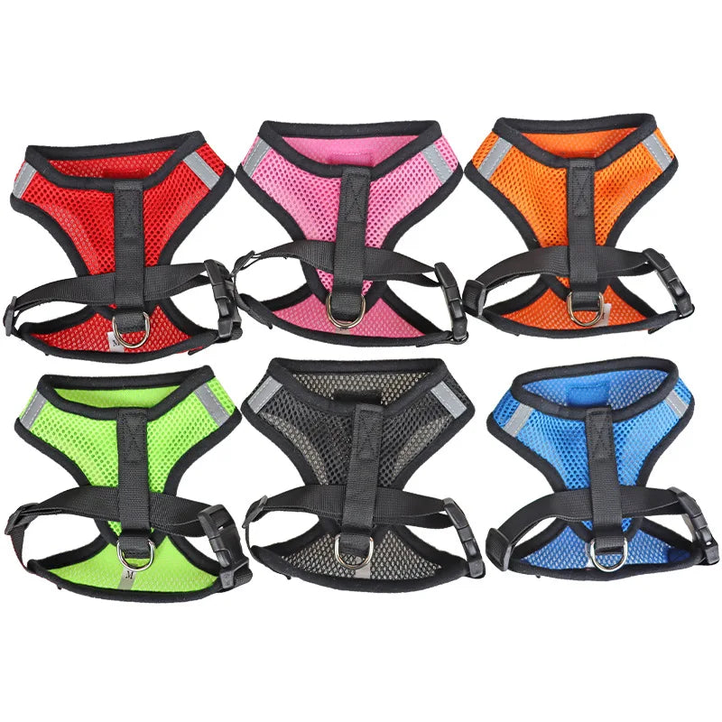 Comfortable cat harness - My Store